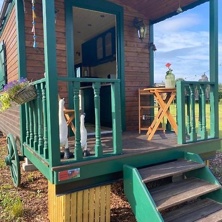 Pia B&B Babbita Hasselt Kültér fotó