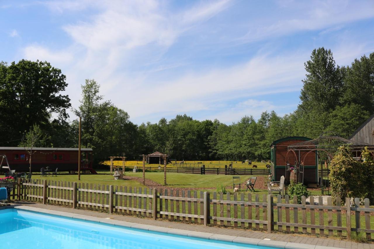 Pia B&B Babbita Hasselt Kültér fotó